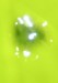 Messenger_creation_89B02D6B-1872-4CAE-8606-12DD8AA50051